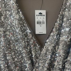 Express Elegant Silver Sequin dress